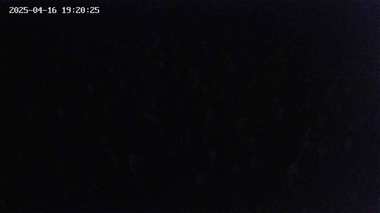 mizubasho2-20250416192026.jpg