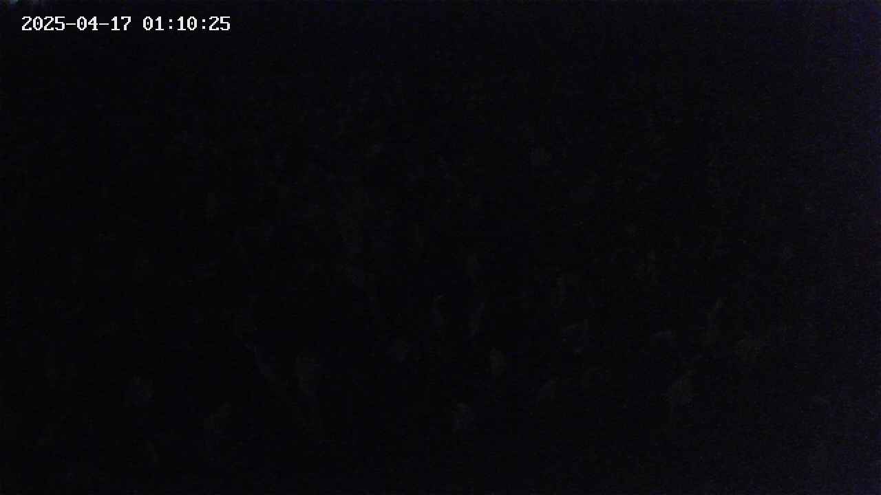 mizubasho2-20250417011026.jpg