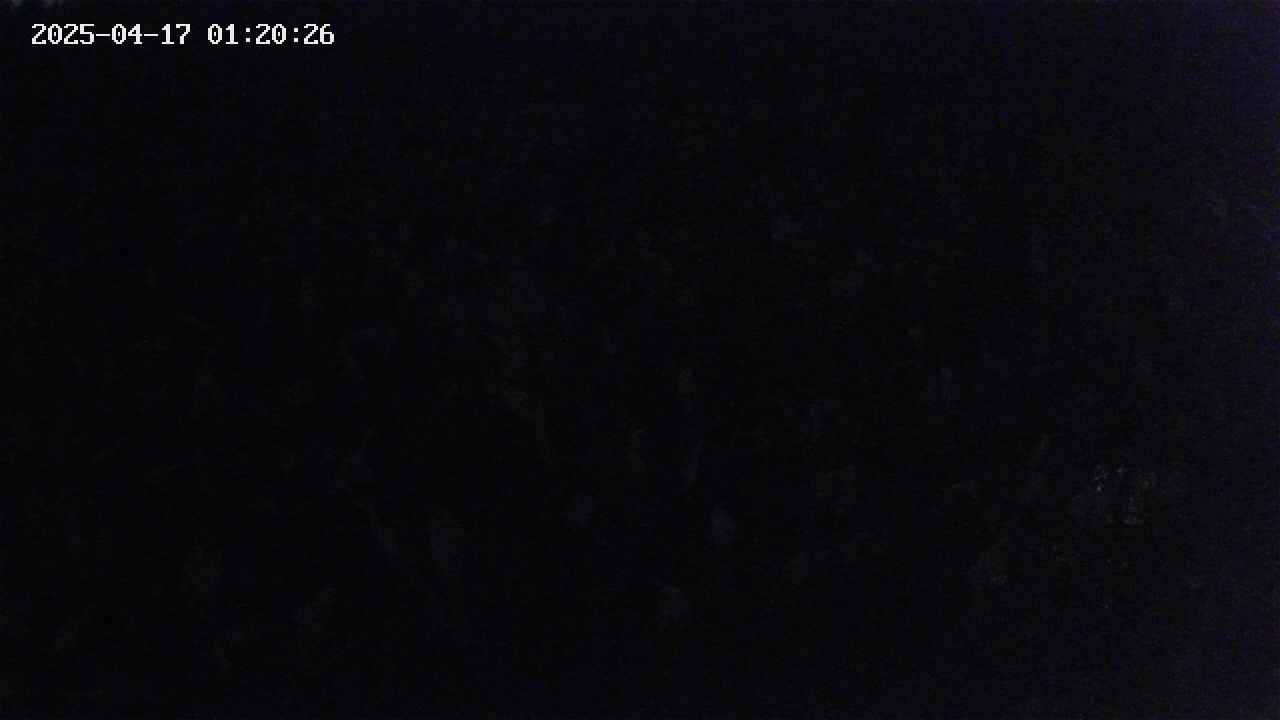 mizubasho2-20250417012027.jpg