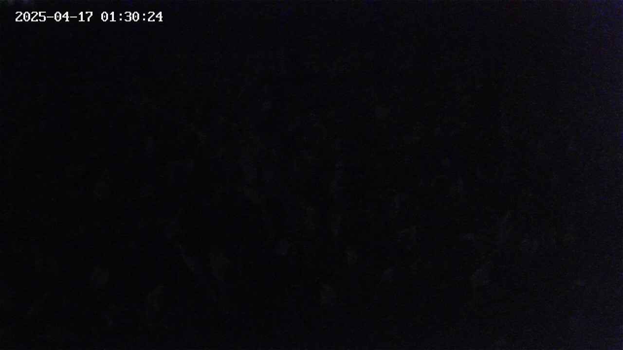 mizubasho2-20250417013025.jpg
