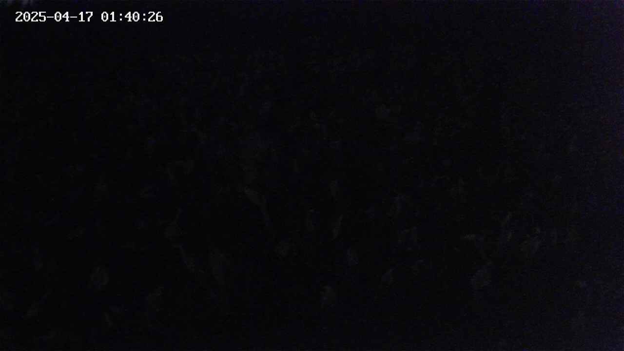 mizubasho2-20250417014027.jpg