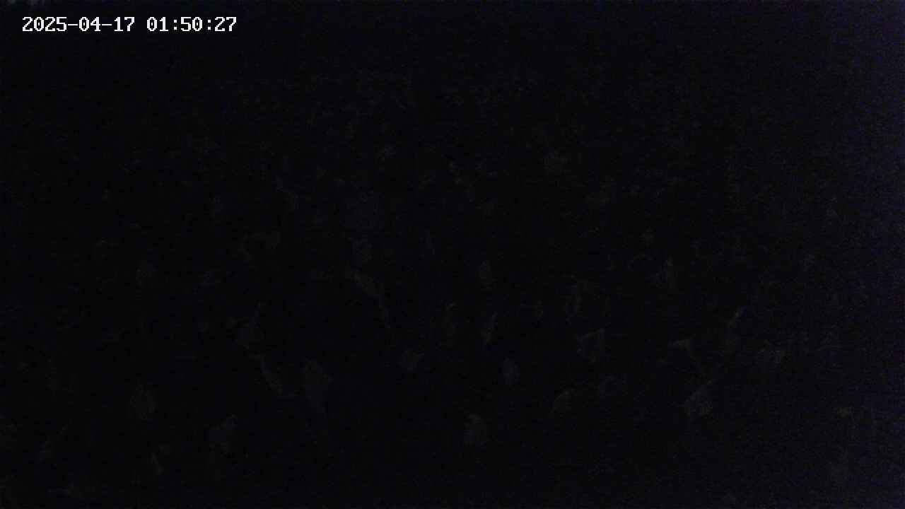 mizubasho2-20250417015028.jpg