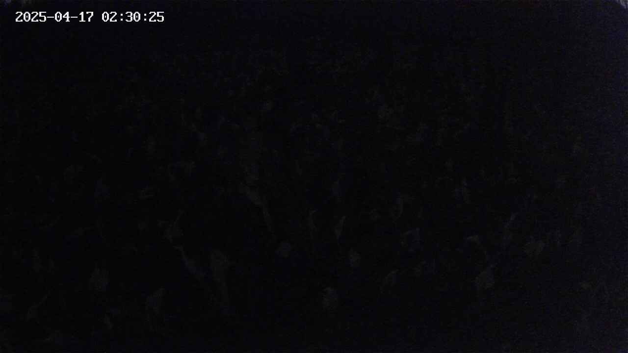 mizubasho2-20250417023026.jpg