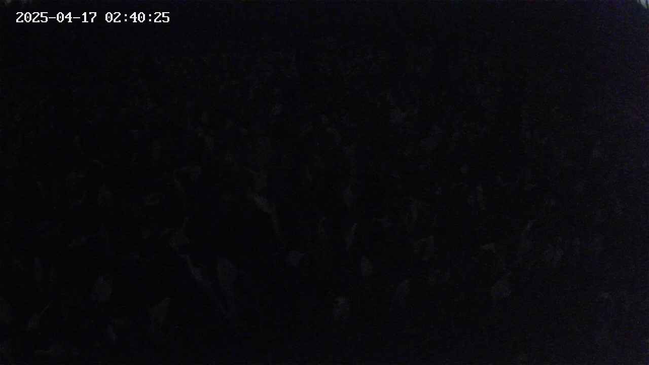 mizubasho2-20250417024026.jpg