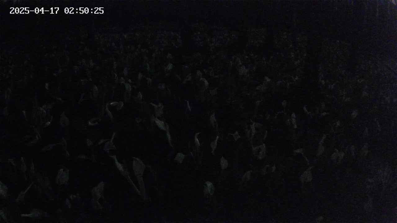 mizubasho2-20250417025025.jpg