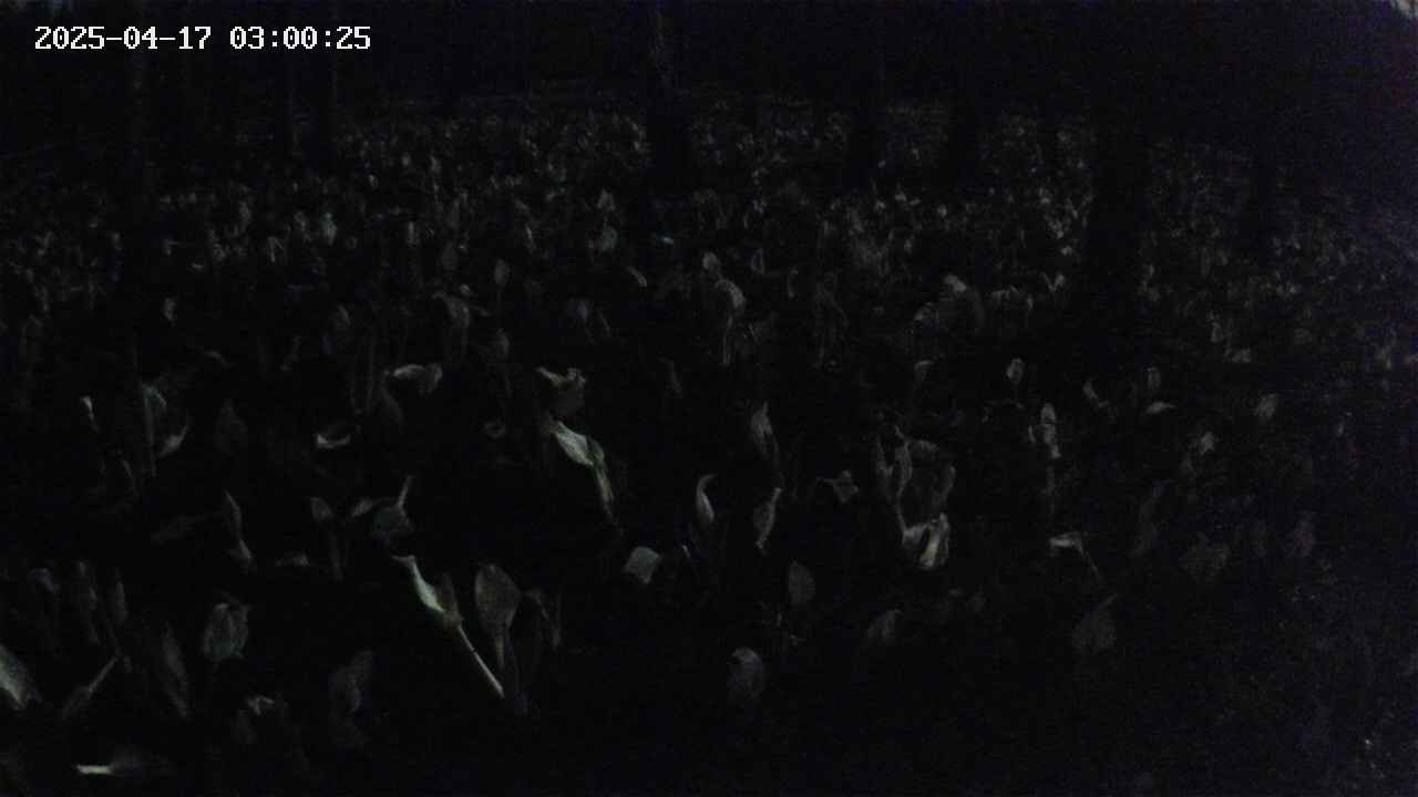 mizubasho2-20250417030025.jpg