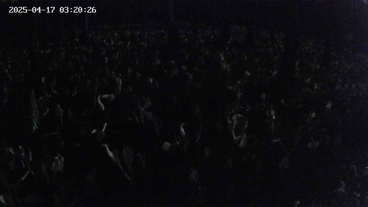 mizubasho2-20250417032027.jpg
