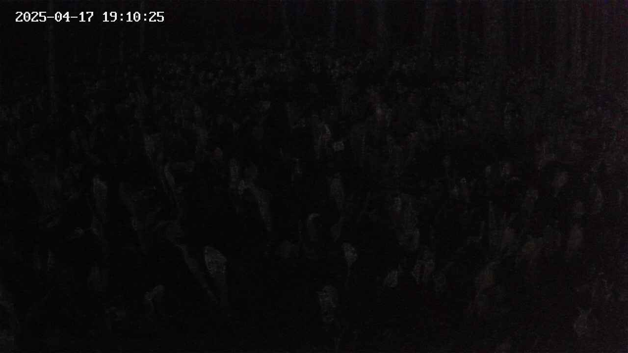 mizubasho2-20250417191026.jpg