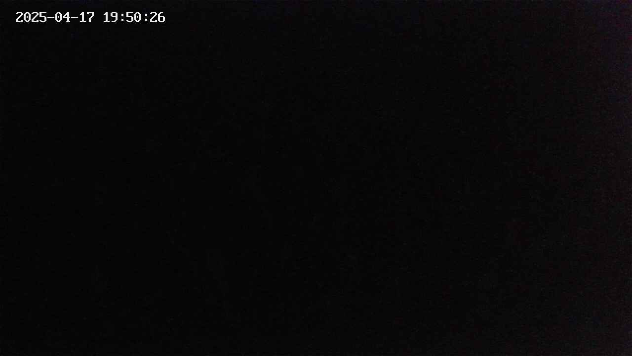 mizubasho2-20250417195027.jpg