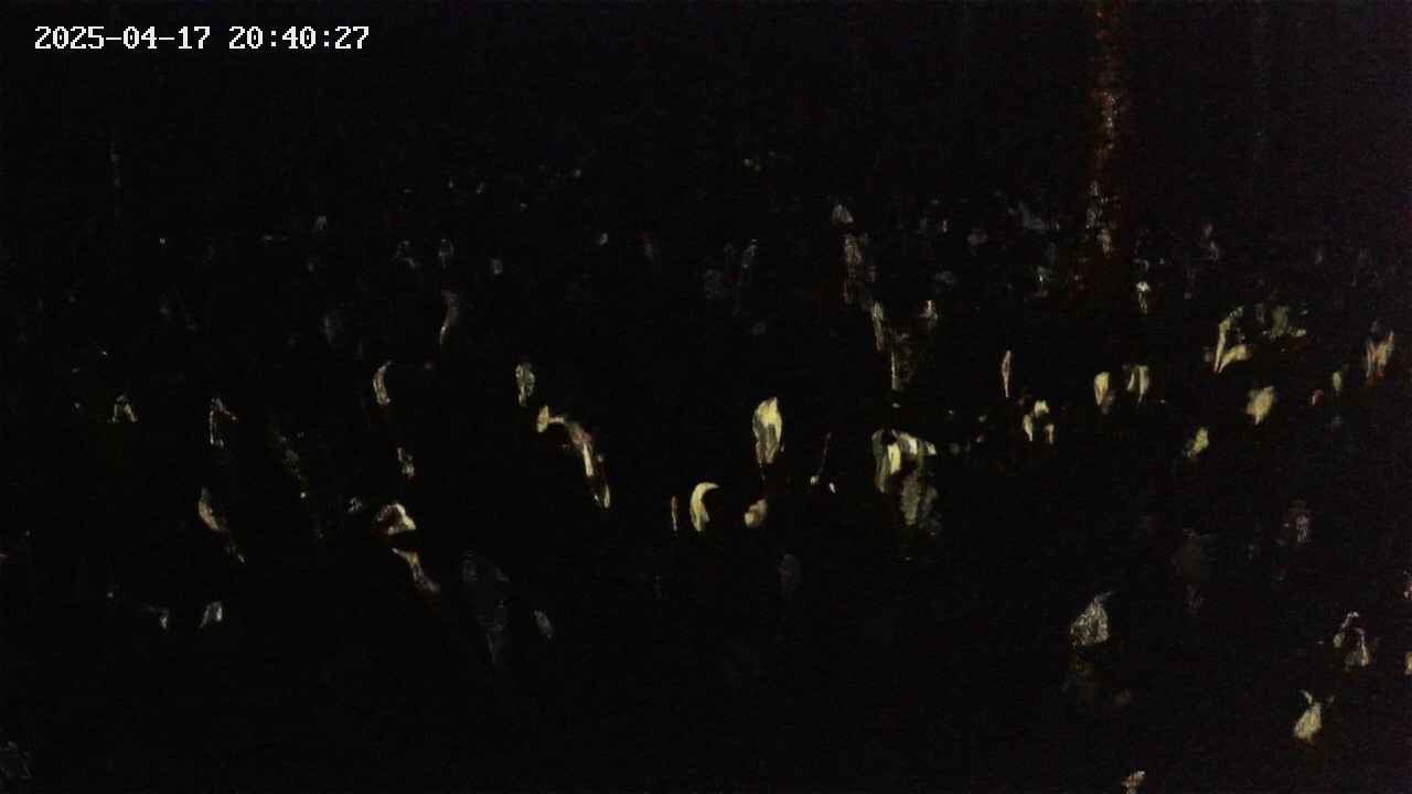 mizubasho2-20250417204028.jpg