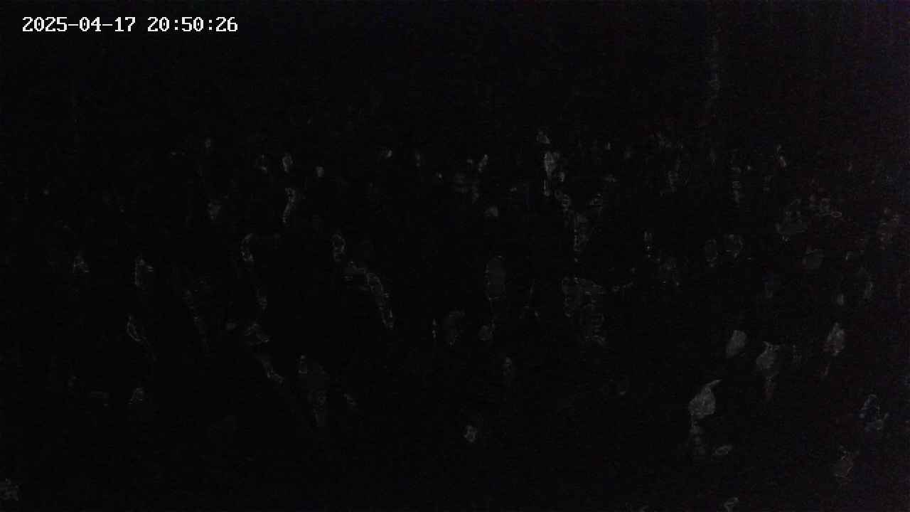 mizubasho2-20250417205027.jpg