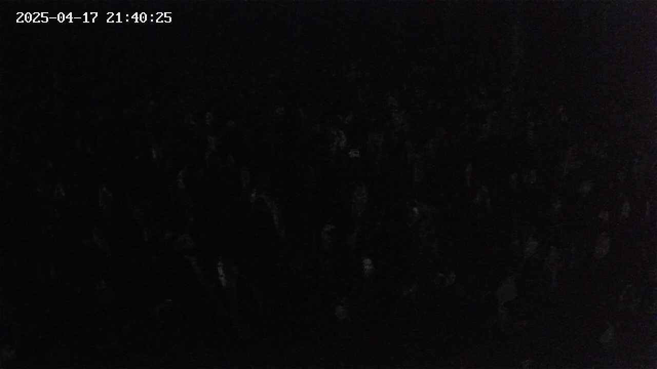 mizubasho2-20250417214027.jpg