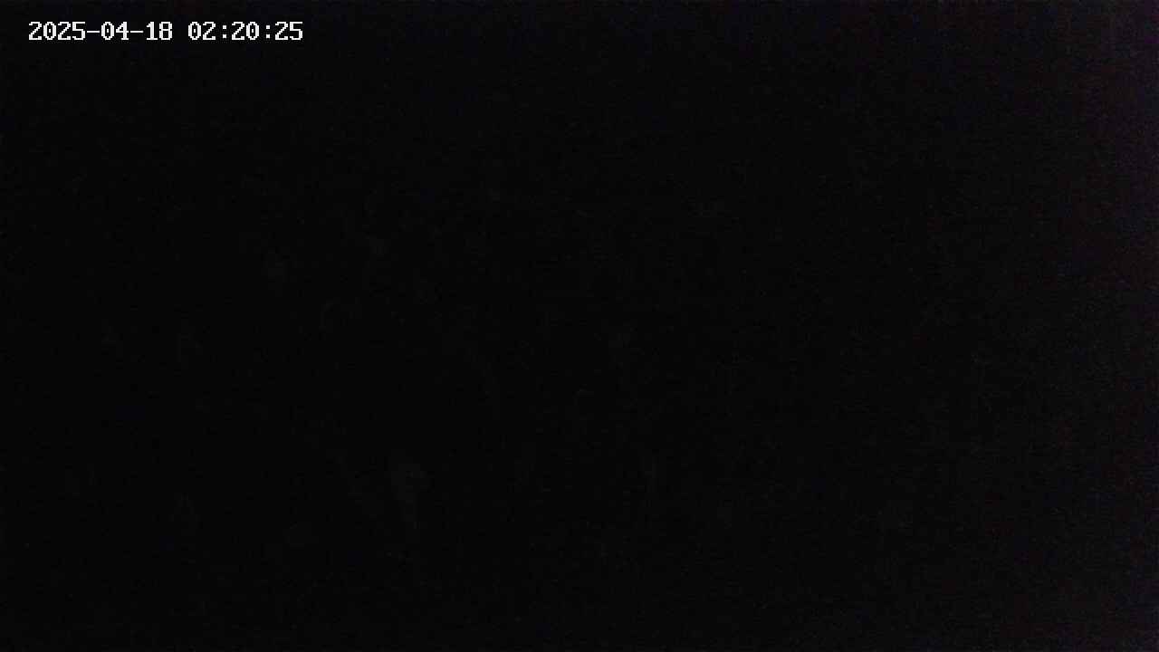 mizubasho2-20250418022026.jpg