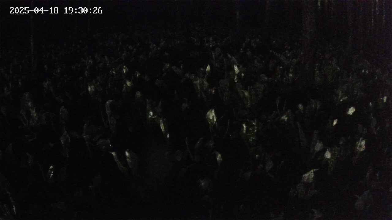 mizubasho2-20250418193027.jpg