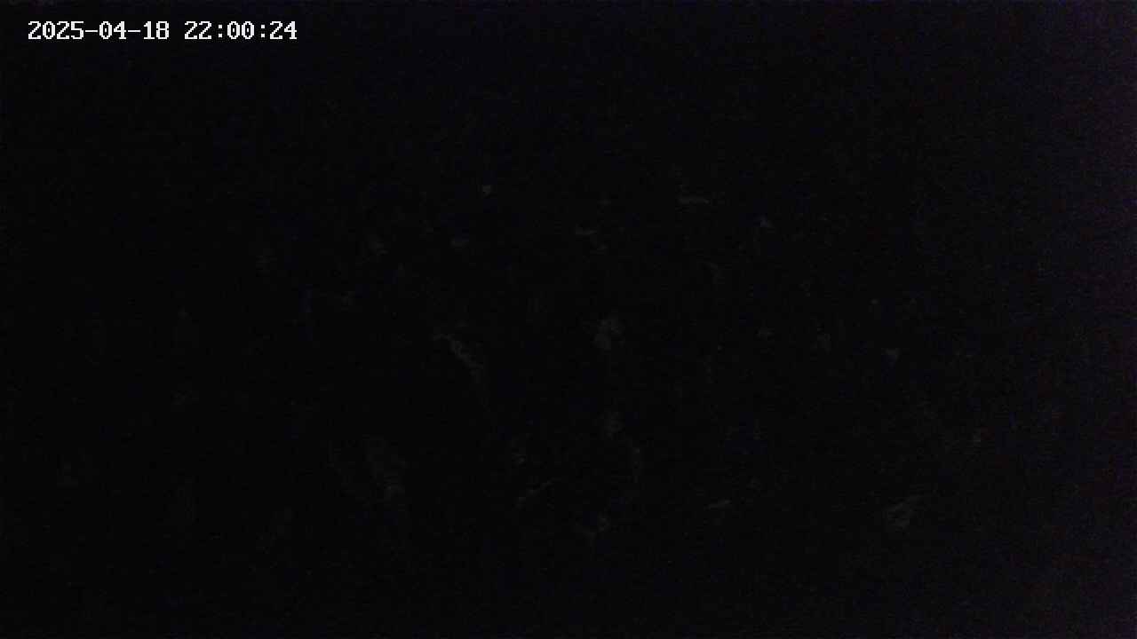 mizubasho2-20250418220025.jpg