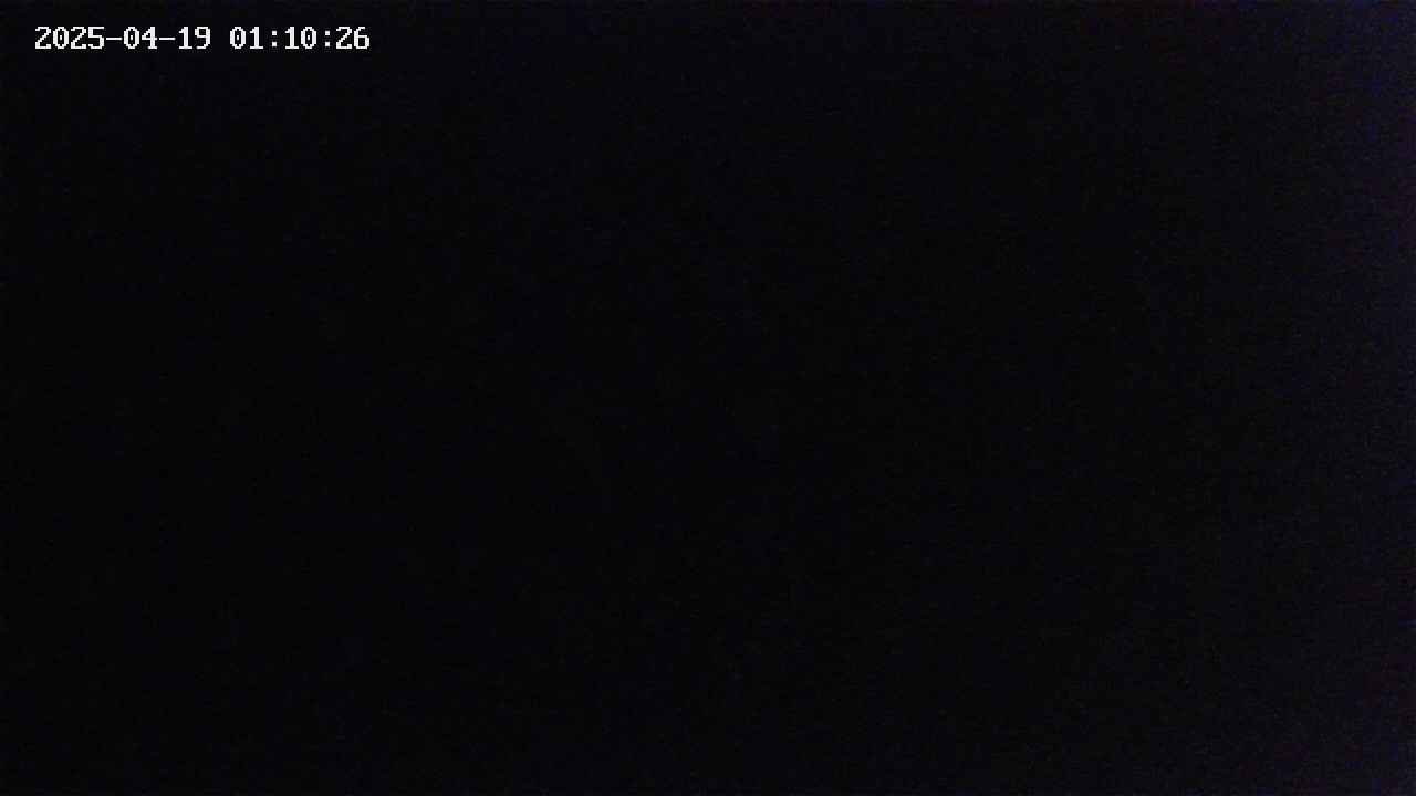 mizubasho2-20250419011026.jpg