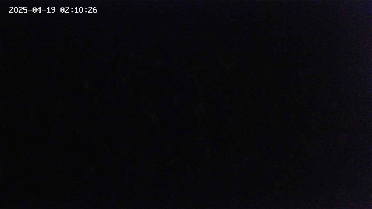 mizubasho2-20250419021026.jpg