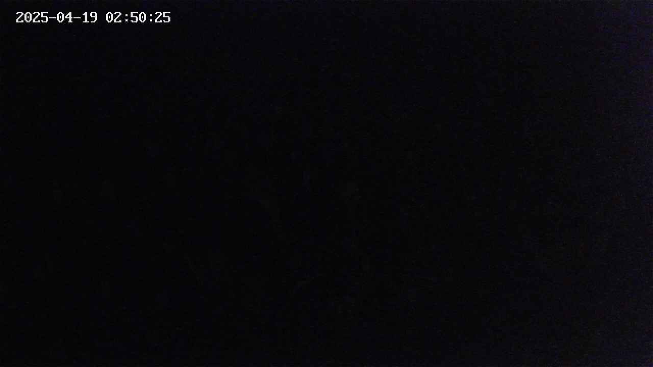 mizubasho2-20250419025026.jpg