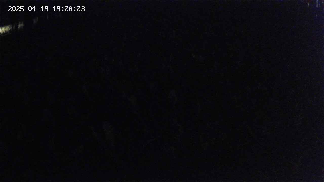 mizubasho2-20250419192024.jpg