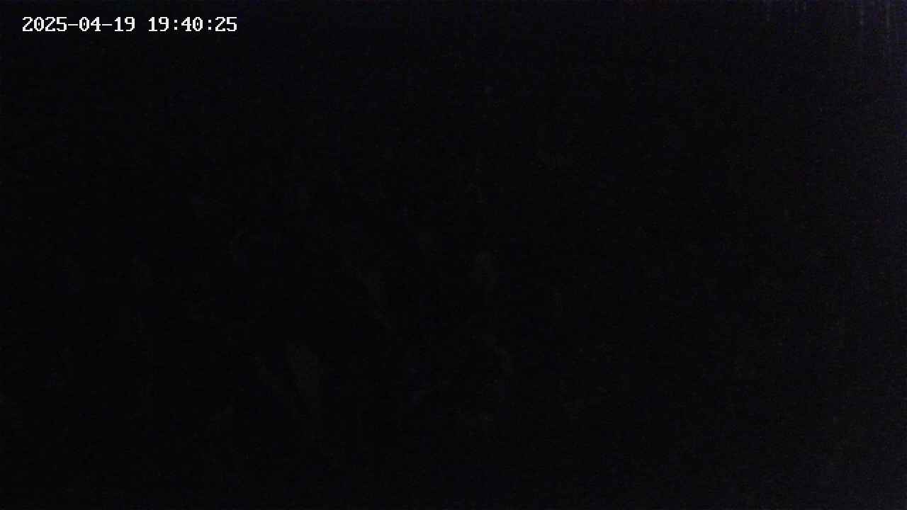 mizubasho2-20250419194026.jpg