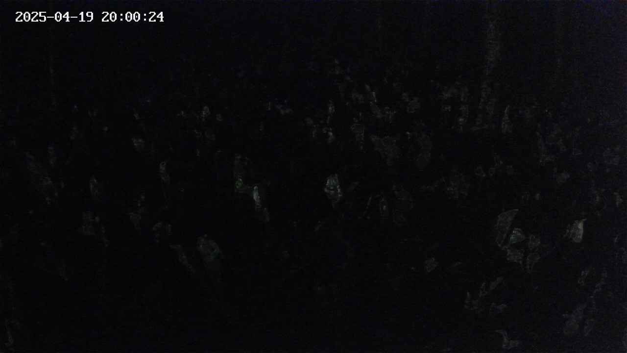 mizubasho2-20250419200025.jpg