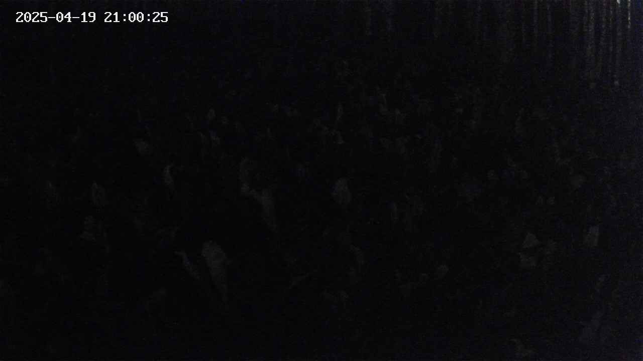 mizubasho2-20250419210026.jpg