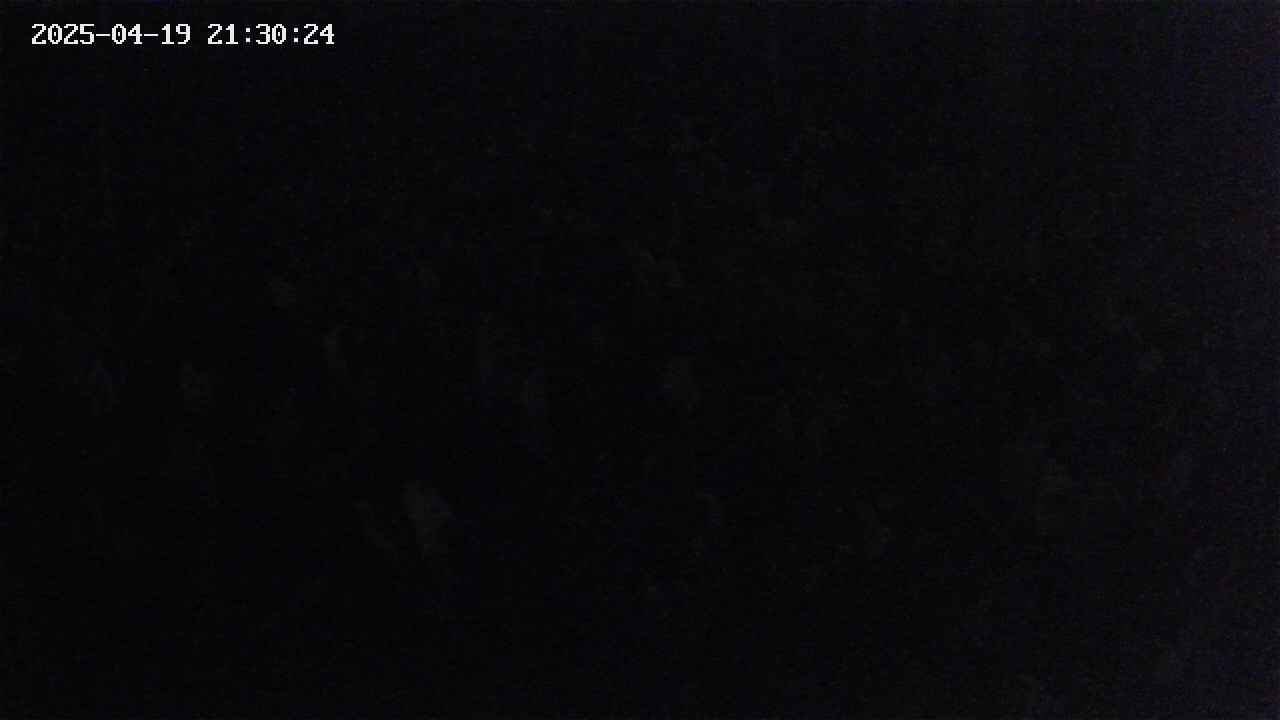 mizubasho2-20250419213026.jpg