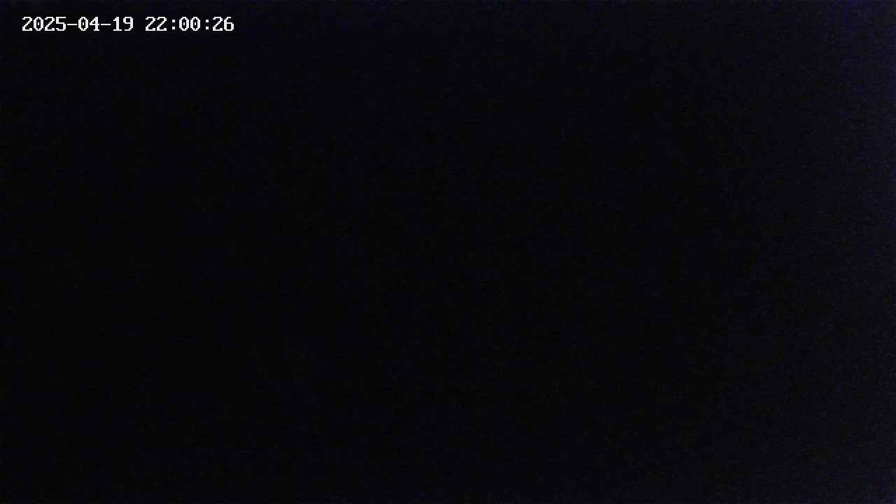 mizubasho2-20250419220027.jpg