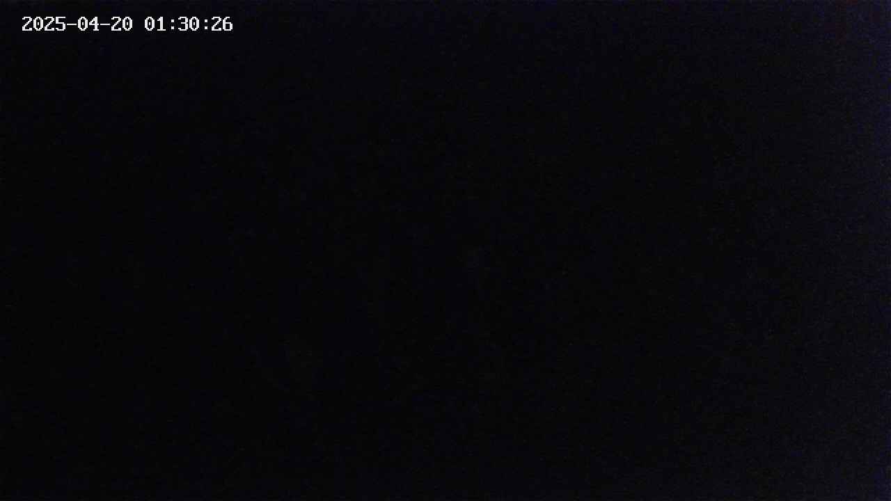 mizubasho2-20250420013027.jpg
