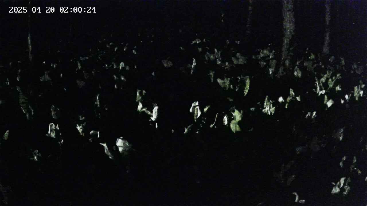 mizubasho2-20250420020026.jpg