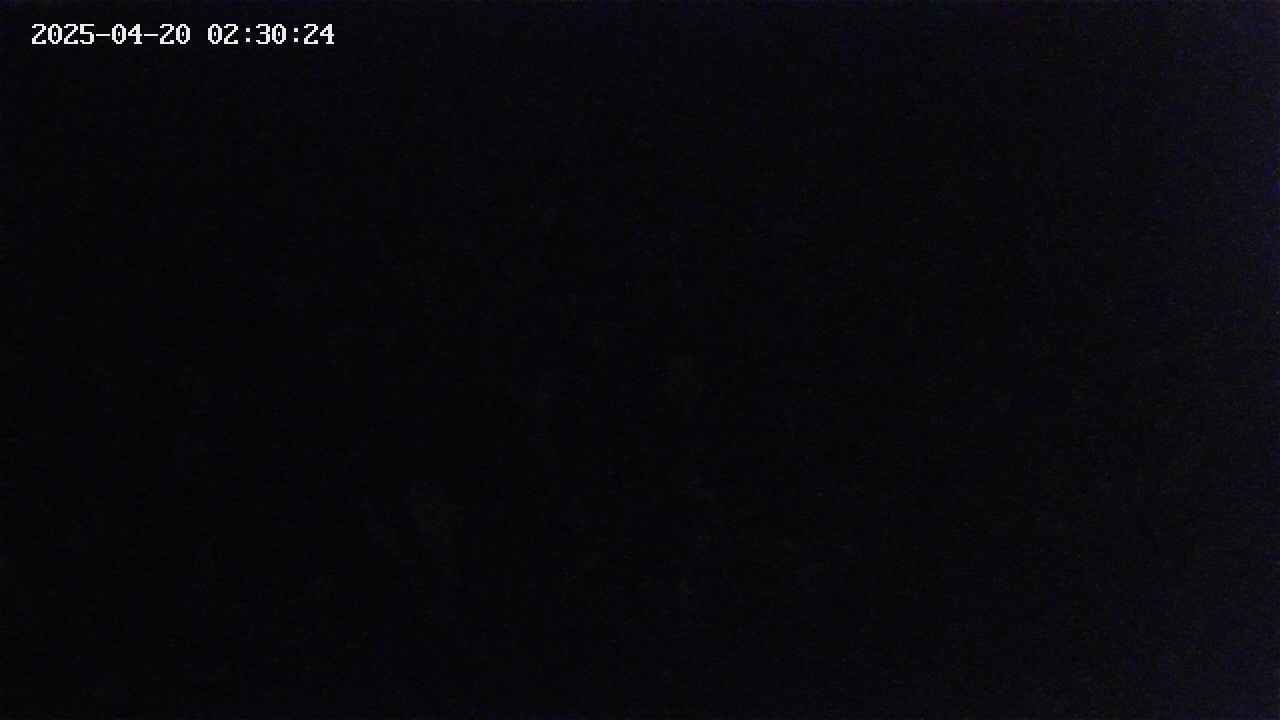 mizubasho2-20250420023025.jpg