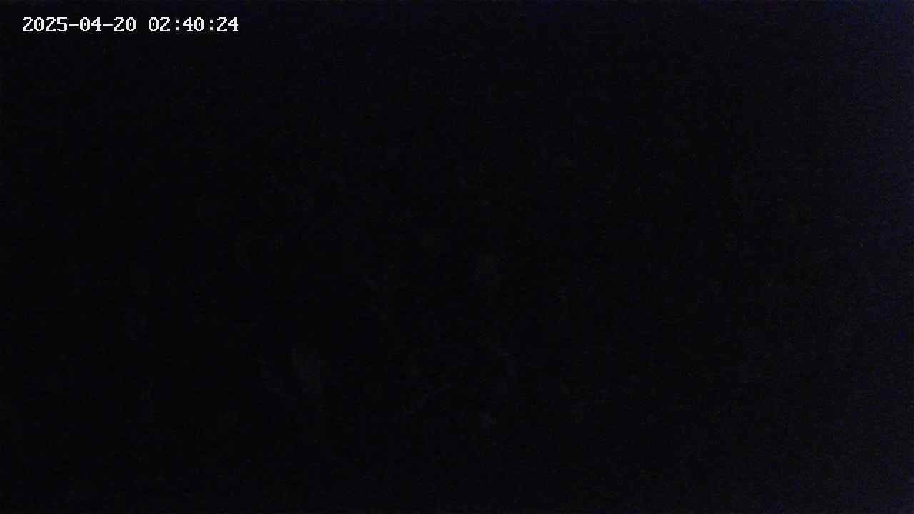 mizubasho2-20250420024025.jpg