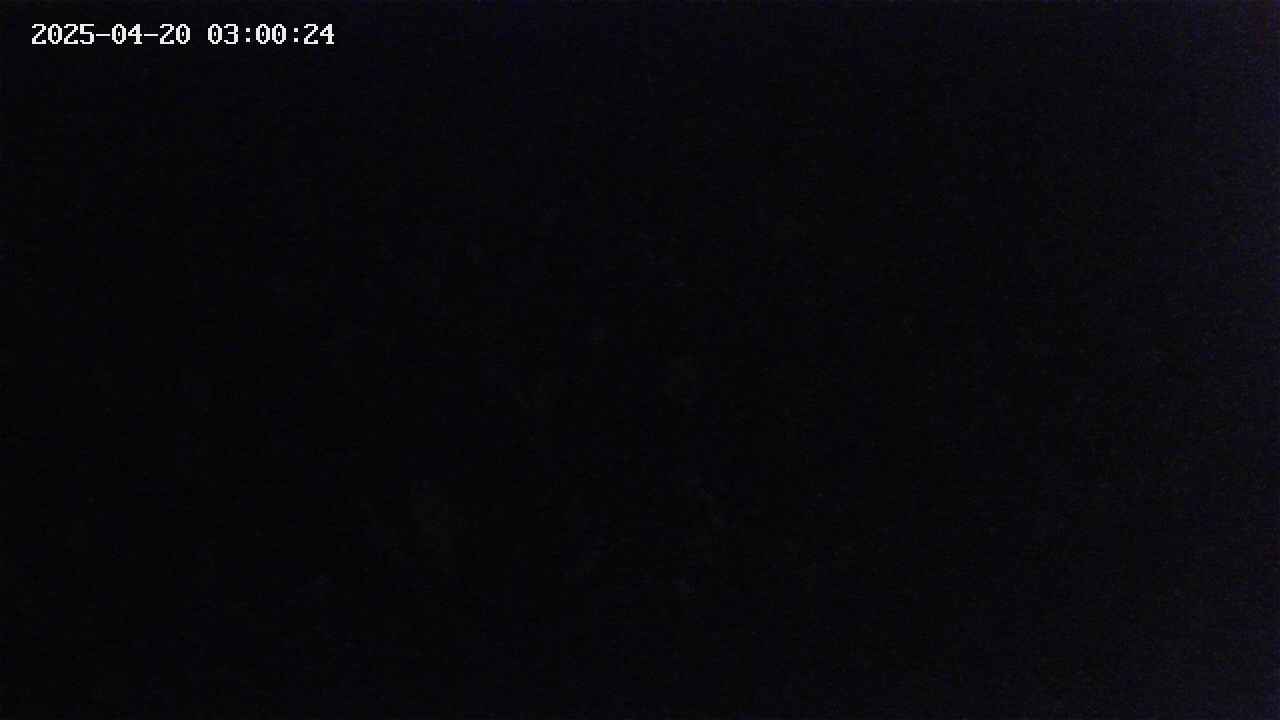 mizubasho2-20250420030026.jpg
