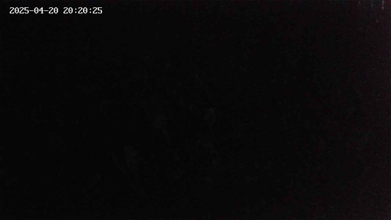 mizubasho2-20250420202027.jpg