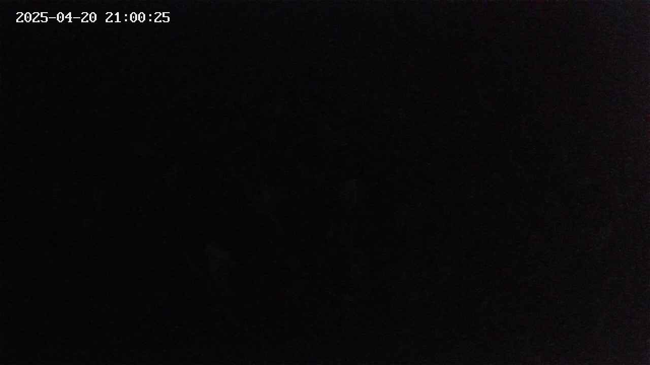 mizubasho2-20250420210026.jpg