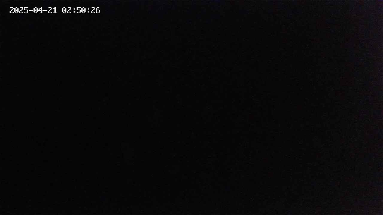mizubasho2-20250421025027.jpg