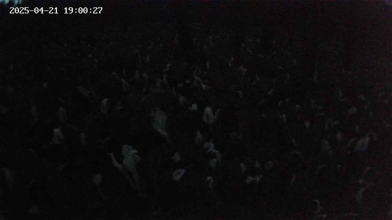 mizubasho2-20250421190028.jpg