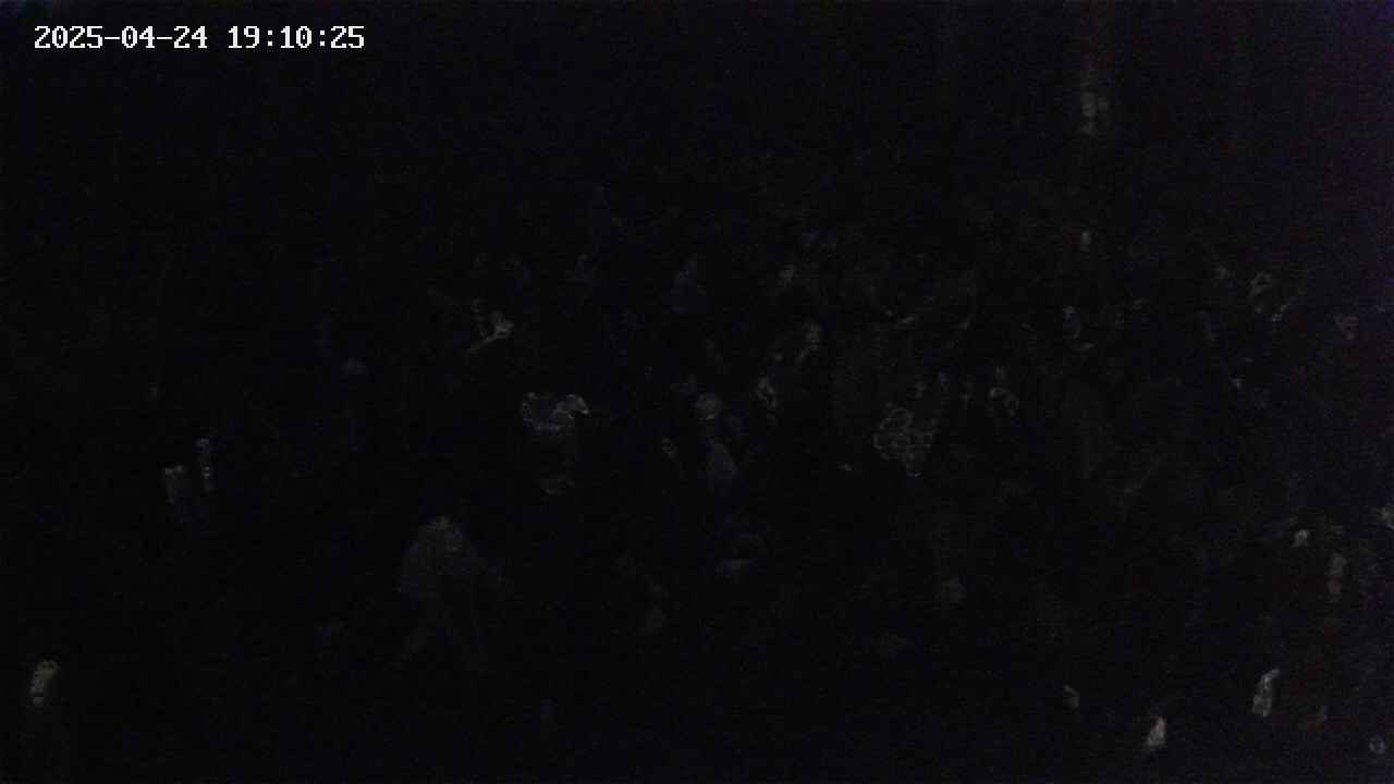mizubasho2-20250424191026.jpg