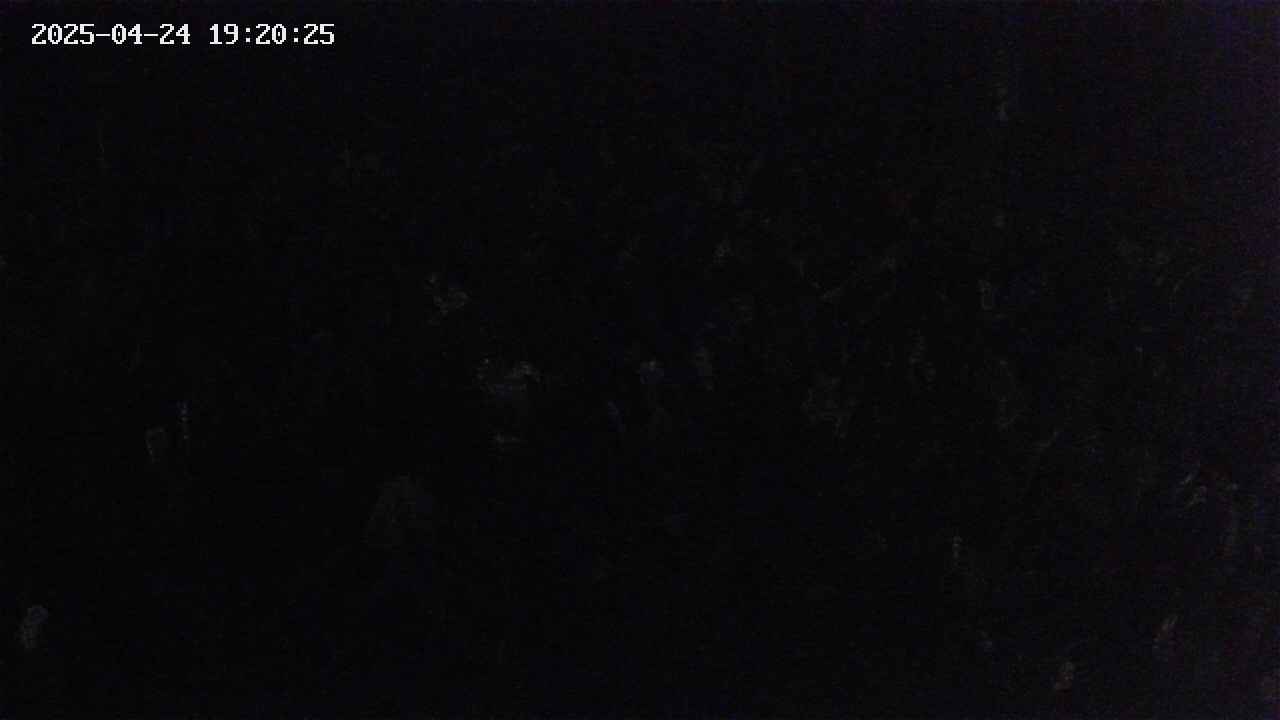 mizubasho2-20250424192025.jpg