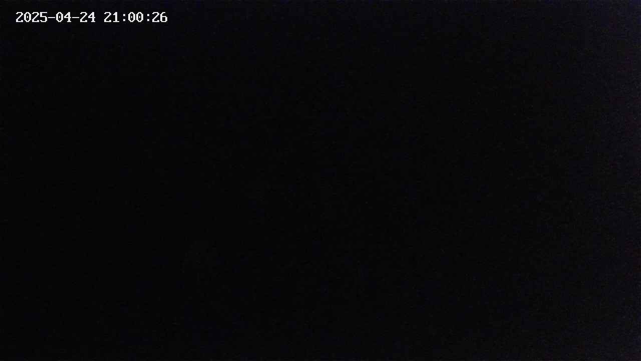 mizubasho2-20250424210027.jpg