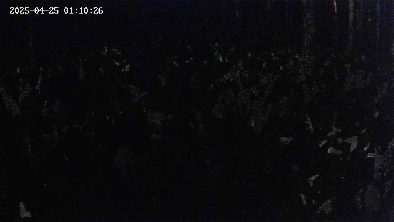 mizubasho2-20250425011026.jpg