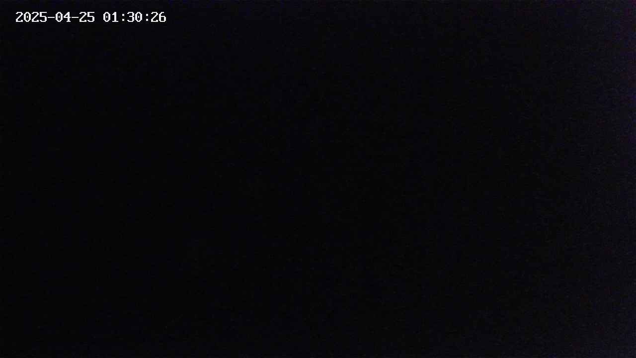 mizubasho2-20250425013027.jpg