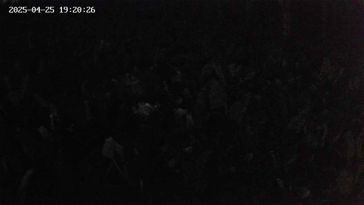 mizubasho2-20250425192026.jpg