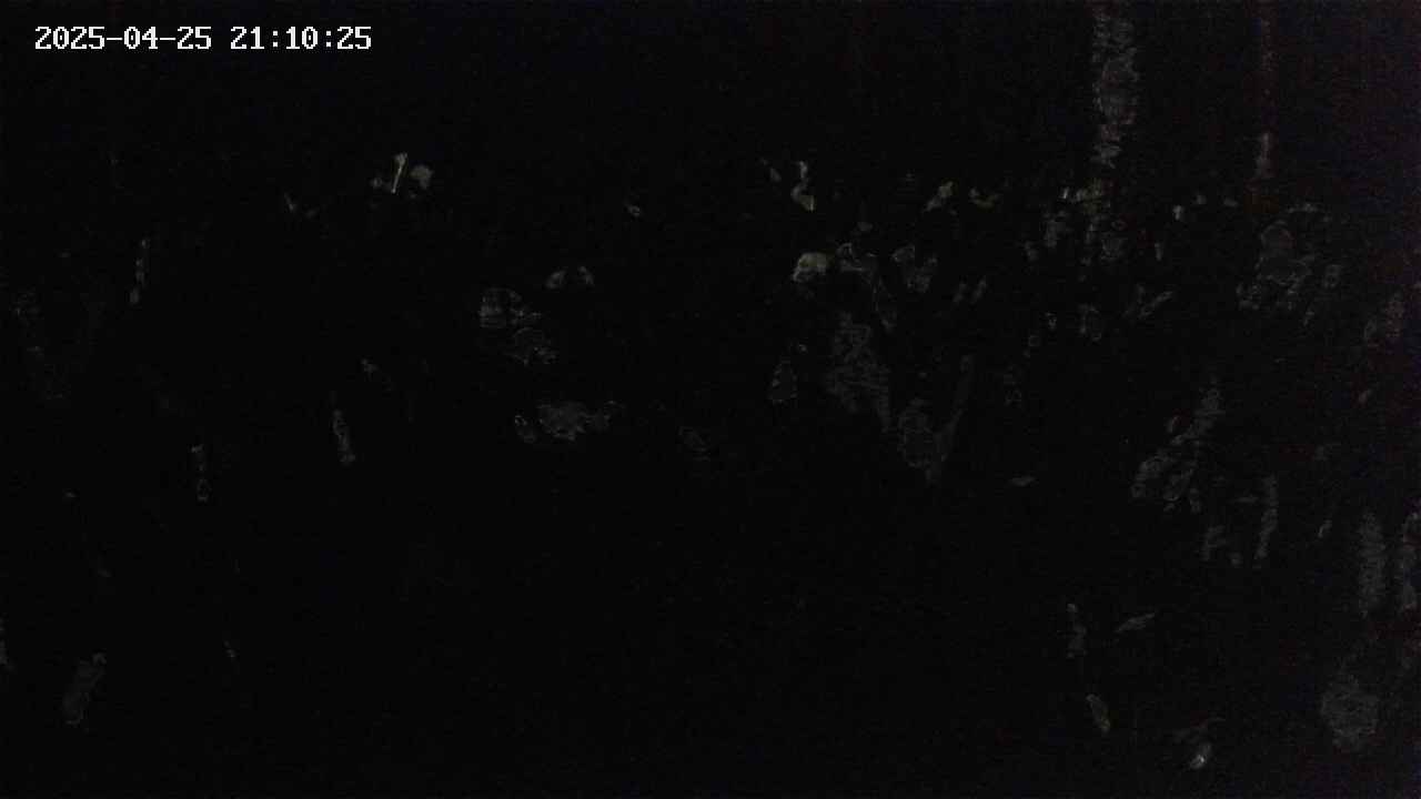 mizubasho2-20250425211026.jpg
