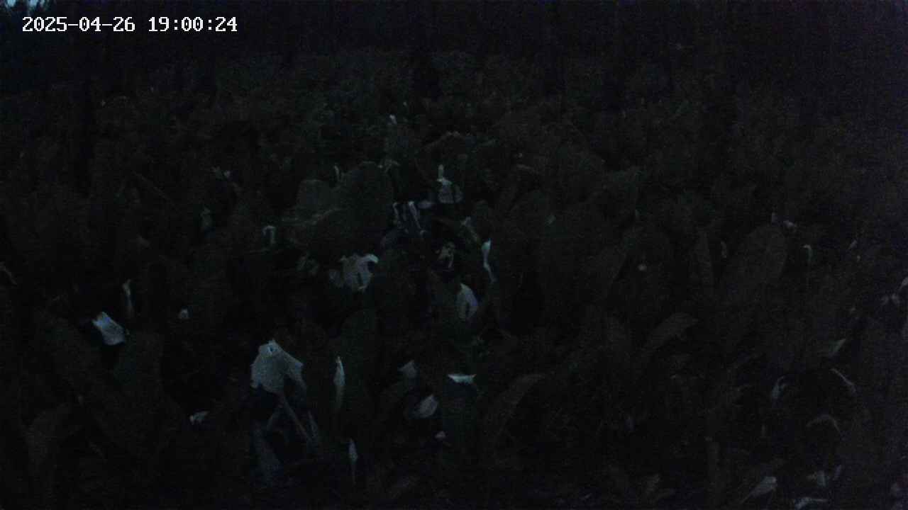 mizubasho2-20250426190026.jpg