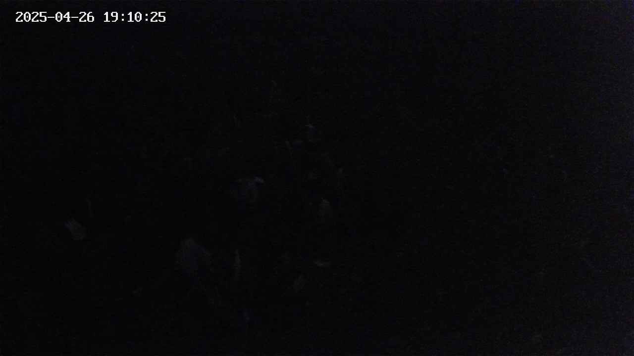 mizubasho2-20250426191026.jpg