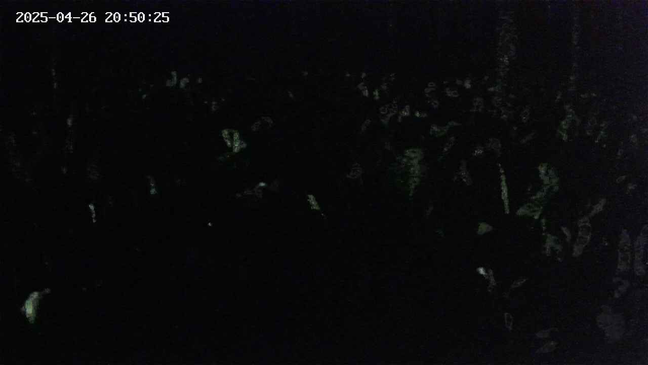 mizubasho2-20250426205027.jpg