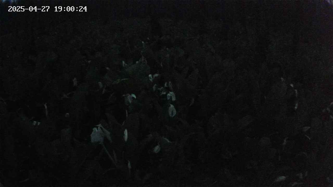 mizubasho2-20250427190025.jpg
