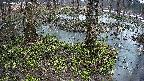 mizubasho3-20250404052041.jpg