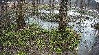mizubasho3-20250404061042.jpg